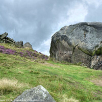 Buy canvas prints of The Cow and Calf Ilkley Moor The calf close up. by Diana Mower