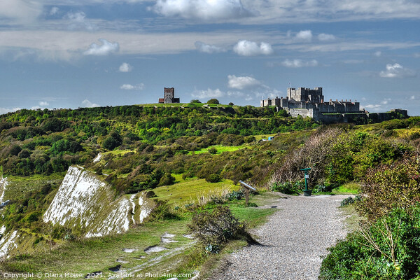 Cliff top Walk near Dover Castle Kent Picture Board by Diana Mower