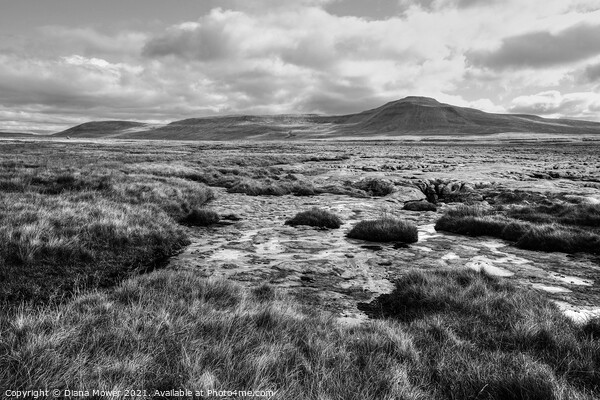 Ingleborough Yorkshire Dales Monochrome Picture Board by Diana Mower