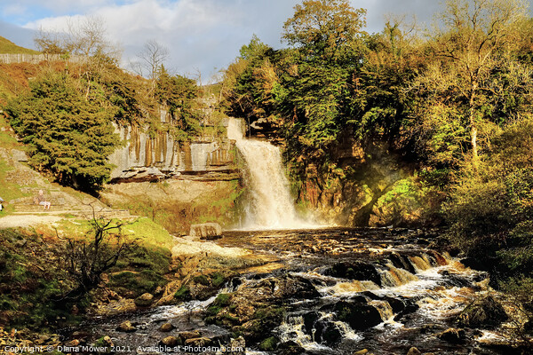 Thornton Force on the river Twiss Ingleton Picture Board by Diana Mower