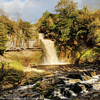 Buy canvas prints of Thornton Force on the river Twiss Ingleton by Diana Mower