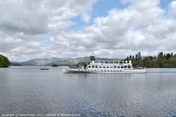 The MV Swan Cruising on Lake Windermere Picture Board by Diana Mower