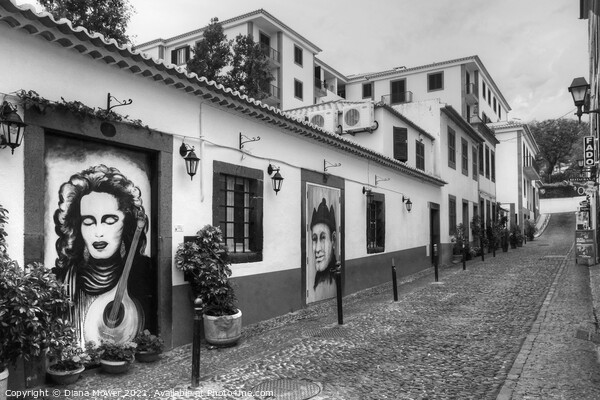 Funchal Madeira Back Street Monochrome Picture Board by Diana Mower