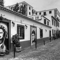 Buy canvas prints of Funchal Madeira Back Street Monochrome by Diana Mower