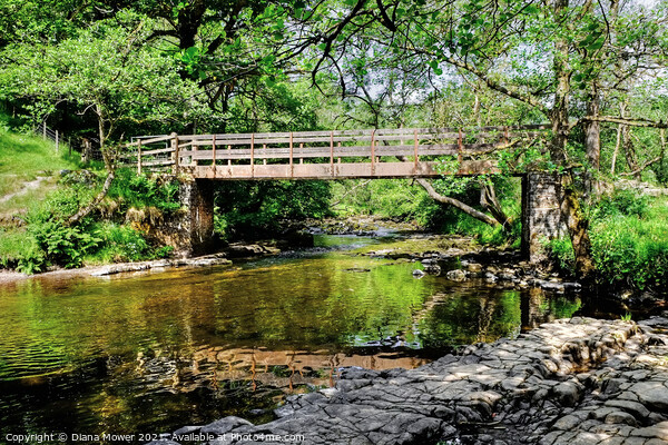 Footbridge over the River Mellte on the Waterfall  Picture Board by Diana Mower