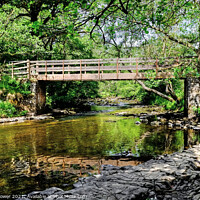 Buy canvas prints of Footbridge over the River Mellte on the Waterfall  by Diana Mower