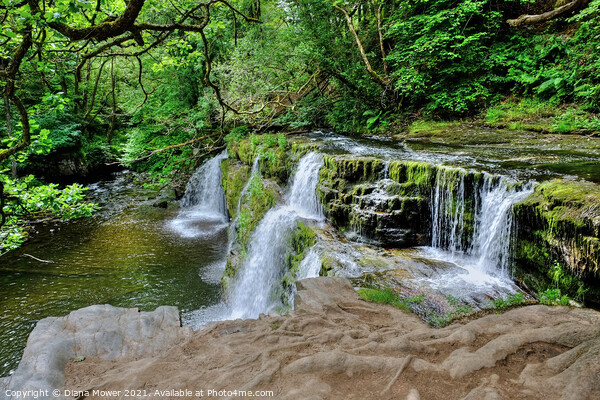 Sgwd  y  Pannwr Waterfall  Picture Board by Diana Mower