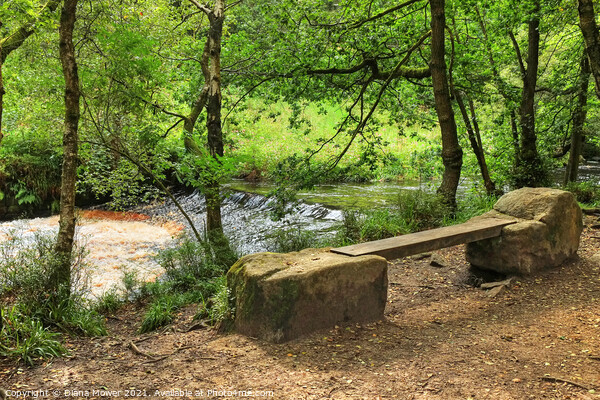 A seat by Hebden Water Yorkshire Picture Board by Diana Mower