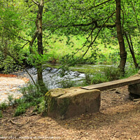 Buy canvas prints of A seat by Hebden Water Yorkshire by Diana Mower