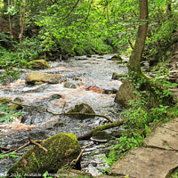 Buy canvas prints of River walk near Hardcastle Crags by Diana Mower