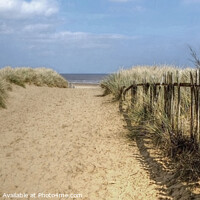 Buy canvas prints of The path to the beach  at Mablethorpe by Diana Mower