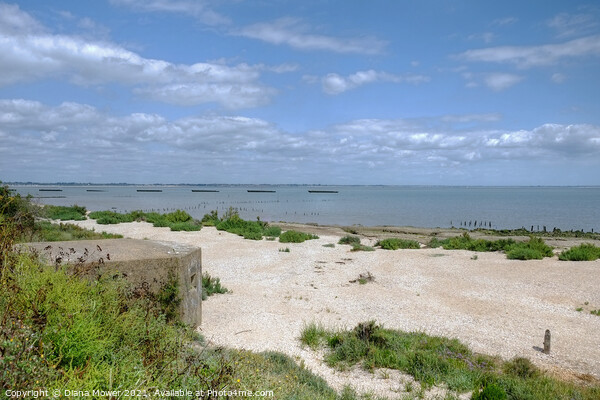 Bradwell on sea beach Essex Picture Board by Diana Mower