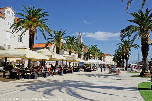 Trogir Historic town Croatia Picture Board by Diana Mower