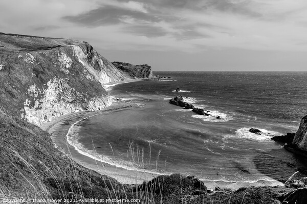 Man O' War Bay Dorset Monochrome Picture Board by Diana Mower