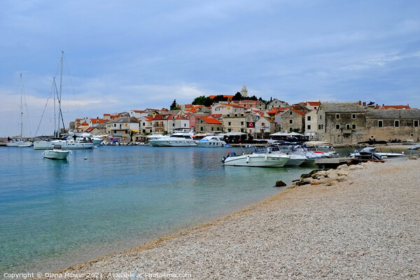 Primosten Beach Croatia with view of the old town Picture Board by Diana Mower