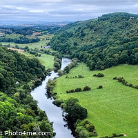 Buy canvas prints of River Wye at Symonds Yat Panoramic by Diana Mower