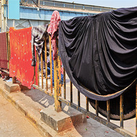 Buy canvas prints of clothes drying on railway station railings by Arfabita  