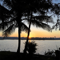 Buy canvas prints of Tropical sun on the horizon by Arfabita  