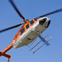 Buy canvas prints of Hovering to land Orange White Helicopter by Arfabita  
