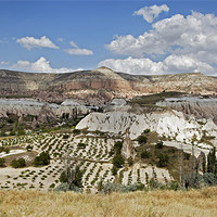 Buy canvas prints of Agricultural patterns Goreme Cappadocia Turkey by Arfabita  