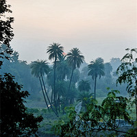 Buy canvas prints of sun over the trees Mhow by Arfabita  