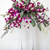 Buy canvas prints of Square vase display of tropical pansies by Arfabita  