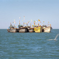Buy canvas prints of Line up of Fishing boats Gull checks in by Arfabita  