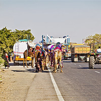 Buy canvas prints of Road congestion Pedestrians Camel Caravan Tractor  by Arfabita  