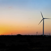 Buy canvas prints of Another new day for windmill on Dwarka Plains by Arfabita  