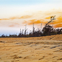 Buy canvas prints of Pondicherry Manaputta Beach Sunset by Arfabita  
