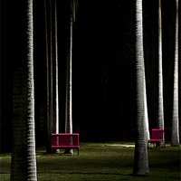 Buy canvas prints of Two Chairs in a Park by Panas Wiwatpanachat