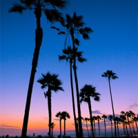 Buy canvas prints of Purple Sunset at Venice Beach by Panas Wiwatpanachat