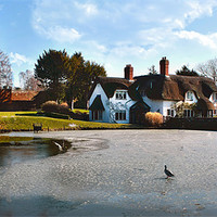 Buy canvas prints of Thatched Cottage and Pond by paul lewis