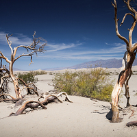 Buy canvas prints of  Death Valley California by paul lewis