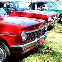 Buy canvas prints of NT Motor Show by Cristal Hills