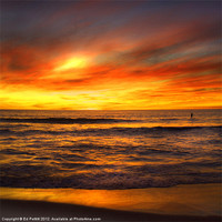 Buy canvas prints of Burning Ocean Sunset by Ed Pettitt
