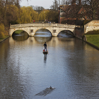 Buy canvas prints of  Punting on the Cam by Ed Pettitt