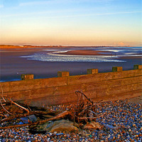 Buy canvas prints of Camber Sands from Rye Harbour by Reg Dobson