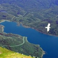 Buy canvas prints of Lake View from Snowdon Summit by Reg Dobson