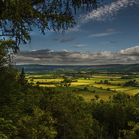 Buy canvas prints of  Yorkshire Tranquility by Ali Brown