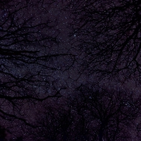 Buy canvas prints of Stars Through Trees by Col Sm