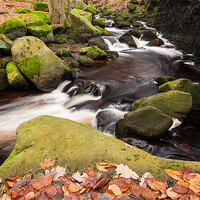 Buy canvas prints of Padley Gorge by Jonathan Swetnam