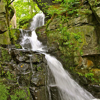 Buy canvas prints of Lumsdale Valley Waterfall by Vanna Taylor
