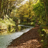 Buy canvas prints of Cromford Canal, Derbyshire by Vanna Taylor