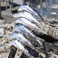 Buy canvas prints of Sardines For Lunch by Vanna Taylor