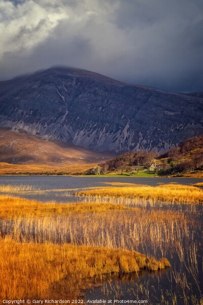 Autumn Colours at Loch Stack Picture Board by Gary Richardson