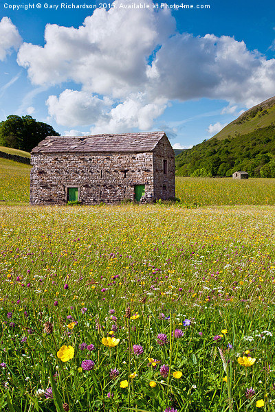  Swaledale Barns and Meadows Picture Board by Gary Richardson
