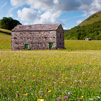 Buy canvas prints of  Swaledale Barns and Meadows by Gary Richardson