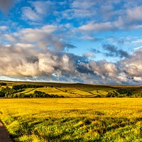 Buy canvas prints of Hannah's Meadows by Gary Richardson