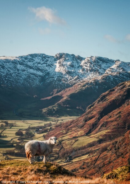 The Langdale Valley Picture Board by Gary Richardson